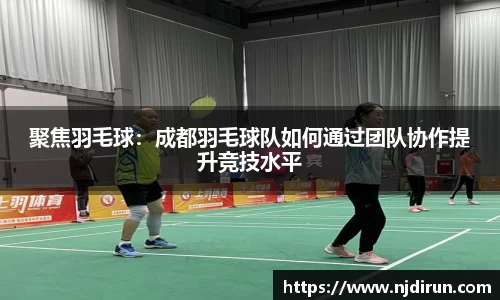 聚焦羽毛球：成都羽毛球队如何通过团队协作提升竞技水平