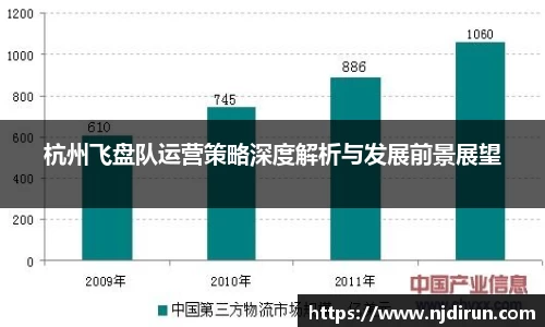 杭州飞盘队运营策略深度解析与发展前景展望